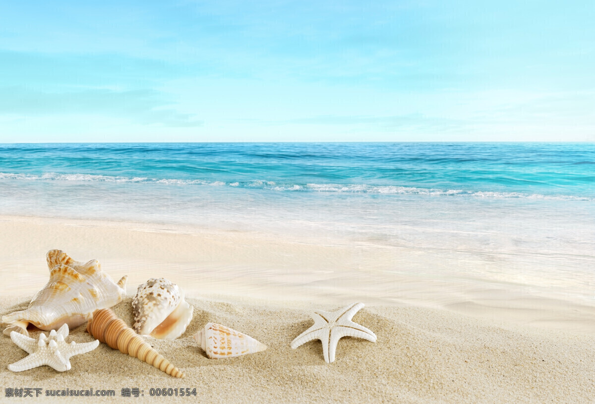 马尔代夫海滩 海星 贝壳 沙滩 海边 海景 天堂 度假 房间 美景 景观 风光 大海 海洋 海水浴场 浪漫 梦幻 唯美 加勒比海 蓝天 晴朗 仙境 热带 夏天 夏季 夏日 休闲 国外旅游摄影 国外旅游 旅游摄影