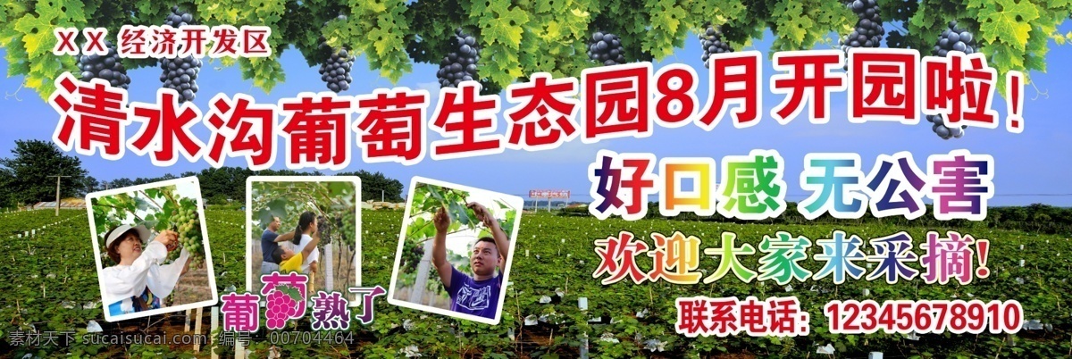 葡萄生態(tài)園 葡萄 生態(tài)園 藍(lán)天 彩色 葡萄葉子 噴繪