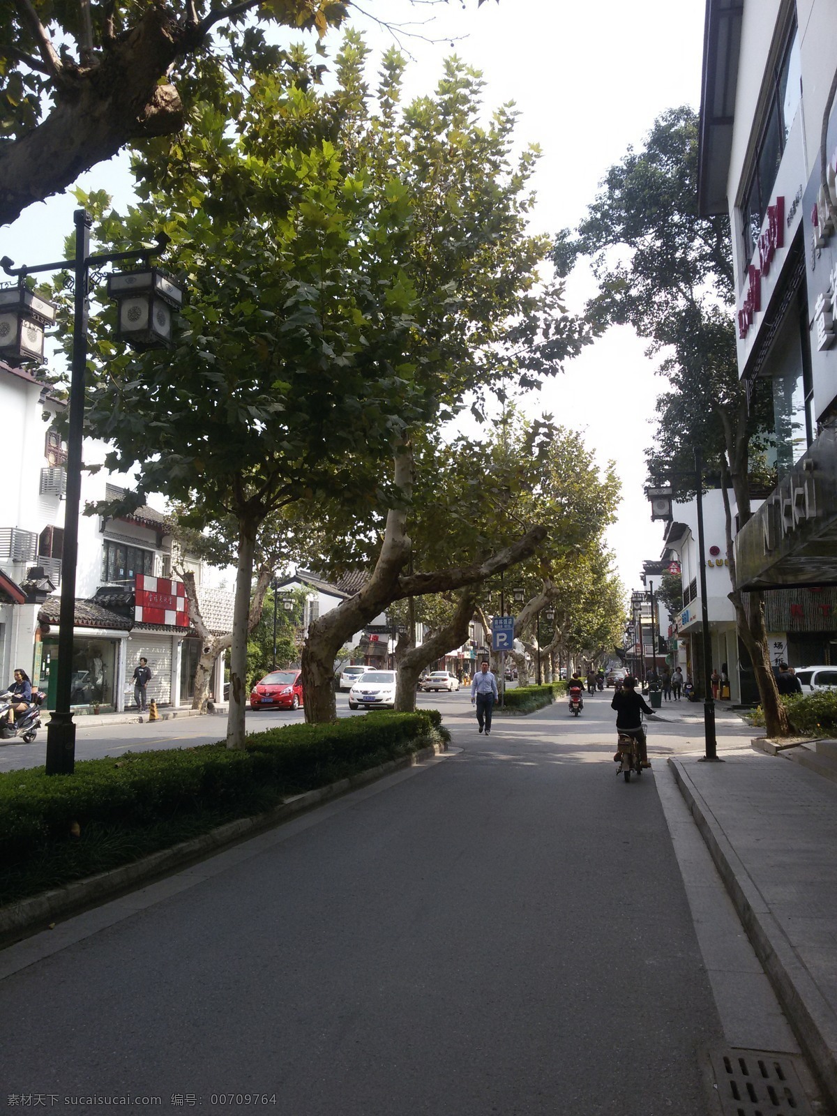 蘇州街景 街景 馬路風(fēng)景 蘇州風(fēng)景 蘇州十全街 蘇州商鋪 蘇州店面 店鋪 商店 蘇州建筑風(fēng)景 梧桐樹 綠化帶 梧桐 建筑風(fēng)景 自然景觀 自然風(fēng)景 黑色