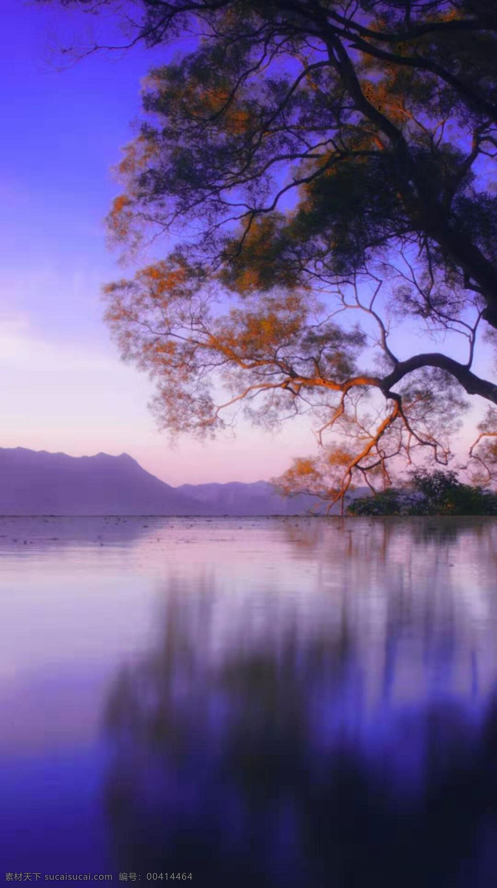 美不胜收 湖泊 风景 图 湛蓝的天空 远山 山脉 清澈的湖水 平静的湖水 大树 美丽的湖泊 高清壁纸 自然景观 山水风景