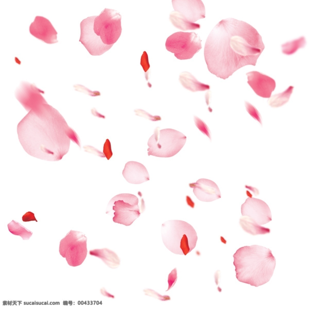 桃花图片 桃花 花瓣 红色花瓣 透明底 免抠图 分层图 分层