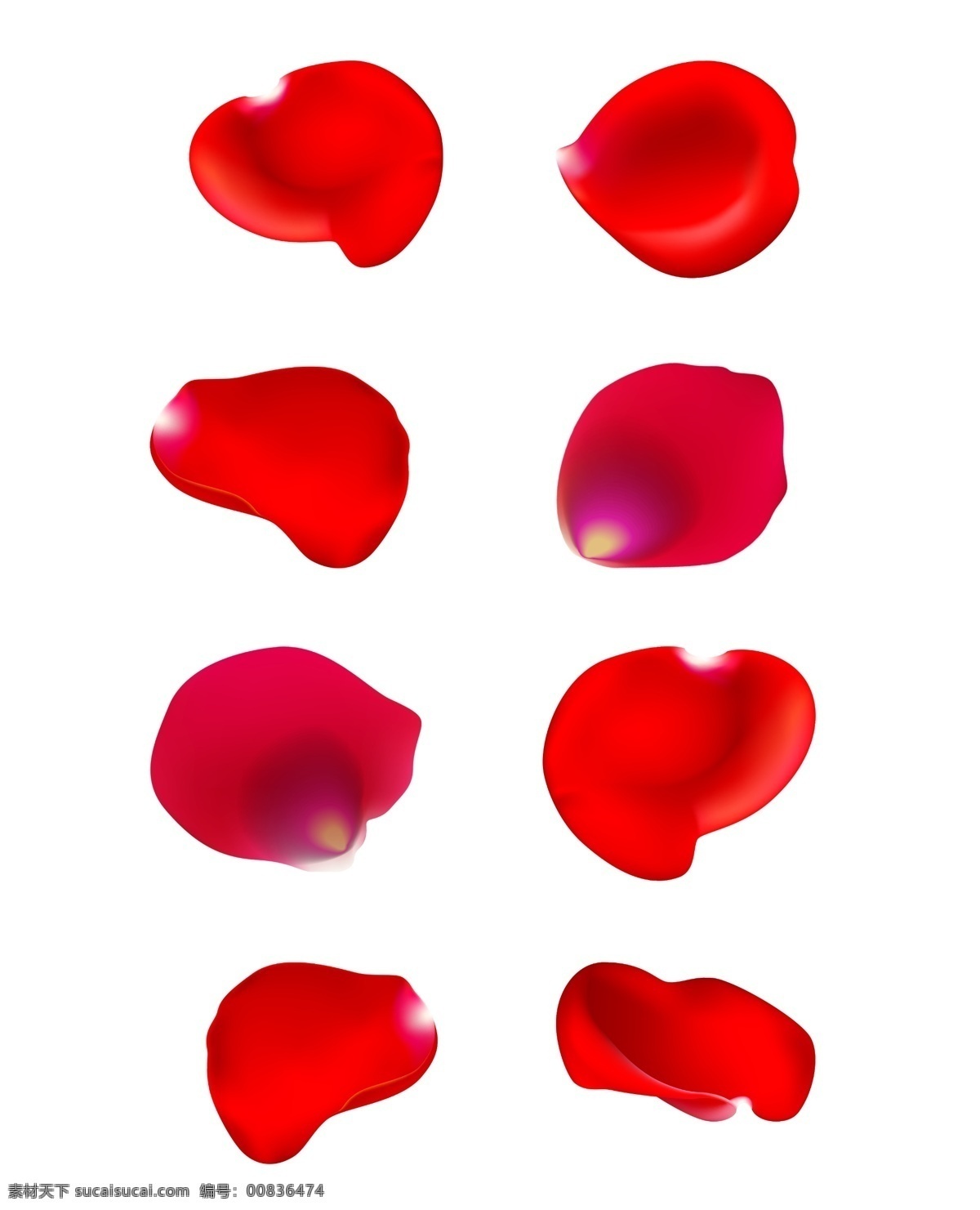 紅色玫瑰花瓣 花瓣 花瓣素材 玫瑰花瓣 玫瑰花瓣素材 紅色花瓣 紅色花瓣素材