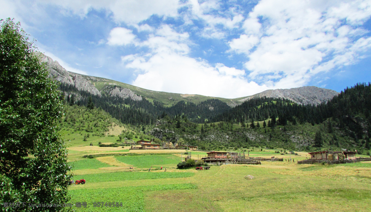 西藏草原风光 西藏风光 草原风光 绿草地 风光 蓝天 草原 草地 国内旅游 旅游风光 自然景观 自然风景