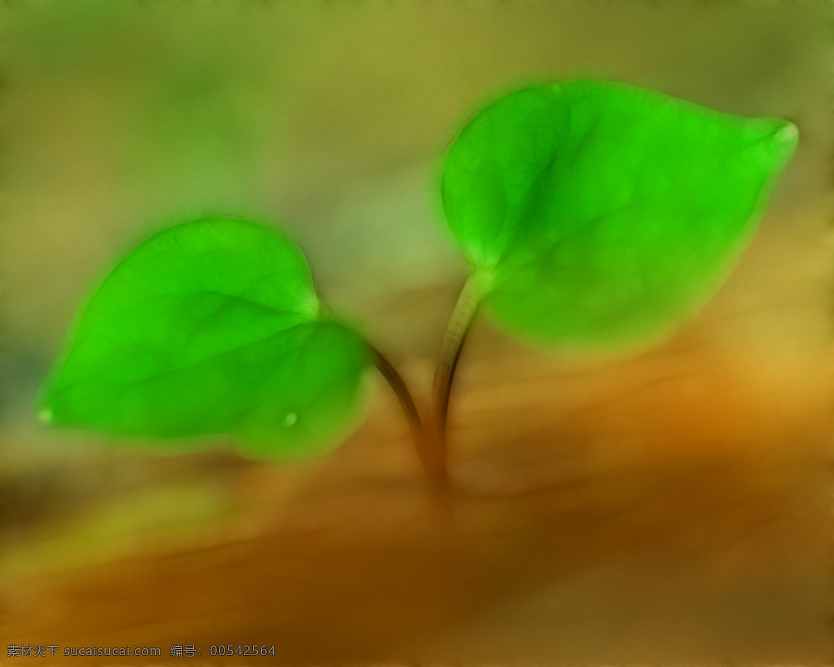 植物 花卉 炫 光光 影 效果 无 框 画 装饰画 光 轮廓 光影 家居装饰素材