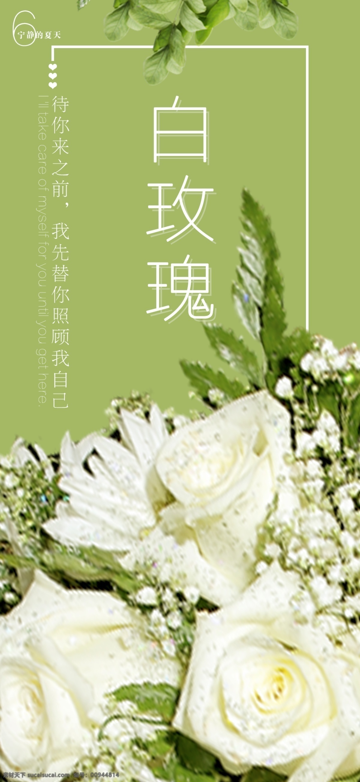 白 玫瑰 手机 海报 竖版 白玫瑰 爱情 情景 绿色 自然 甜蜜