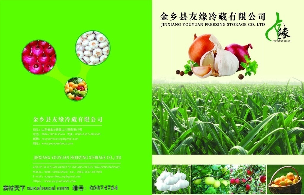 冷藏公司畫冊 農(nóng)業(yè)畫冊 大蒜地 大蒜 圓蔥 水果 畫冊設(shè)計(jì) 廣告設(shè)計(jì)模板 源文件