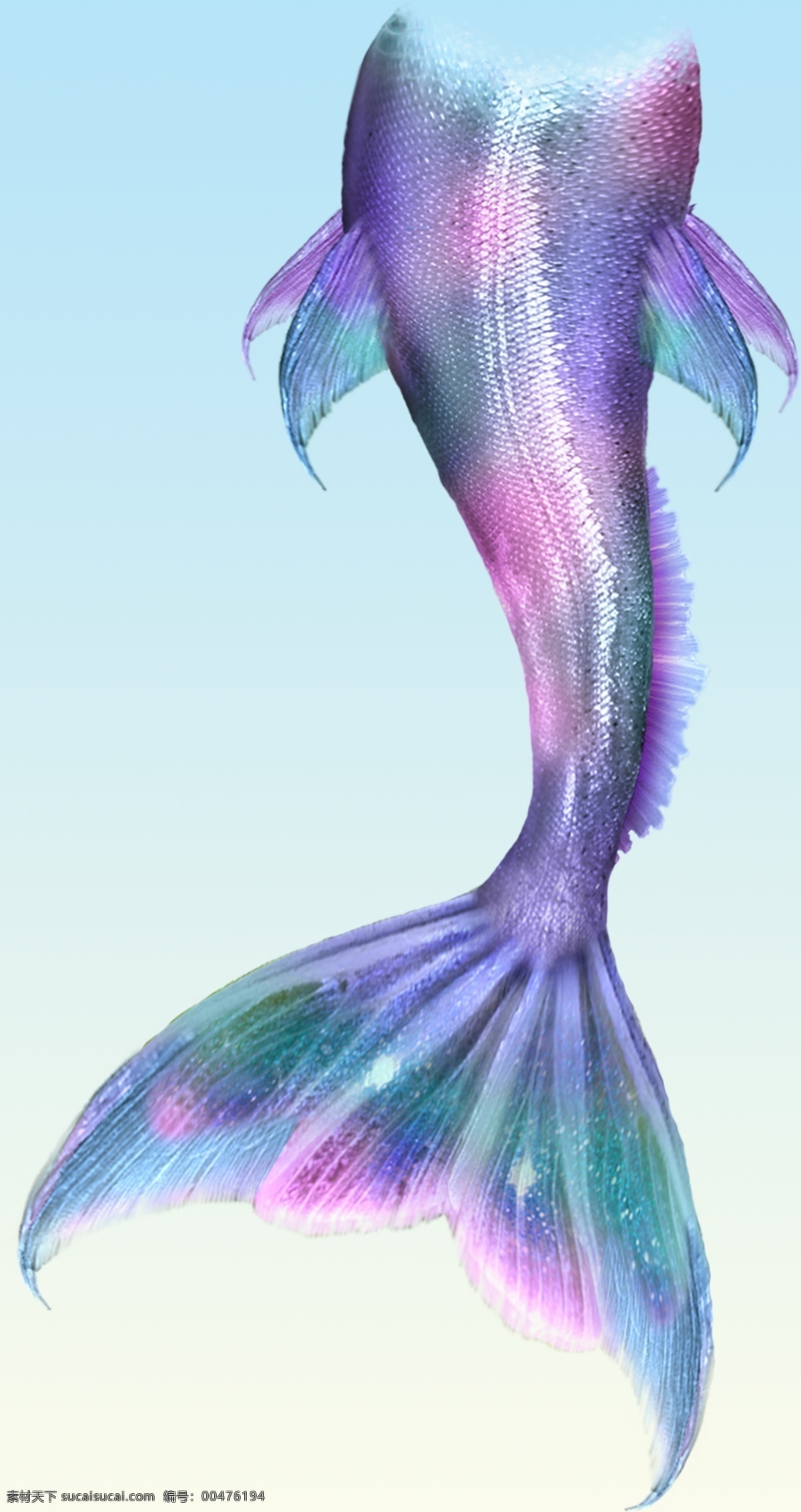 美人魚 尾巴圖片 尾巴 美人魚尾巴 尾巴素材