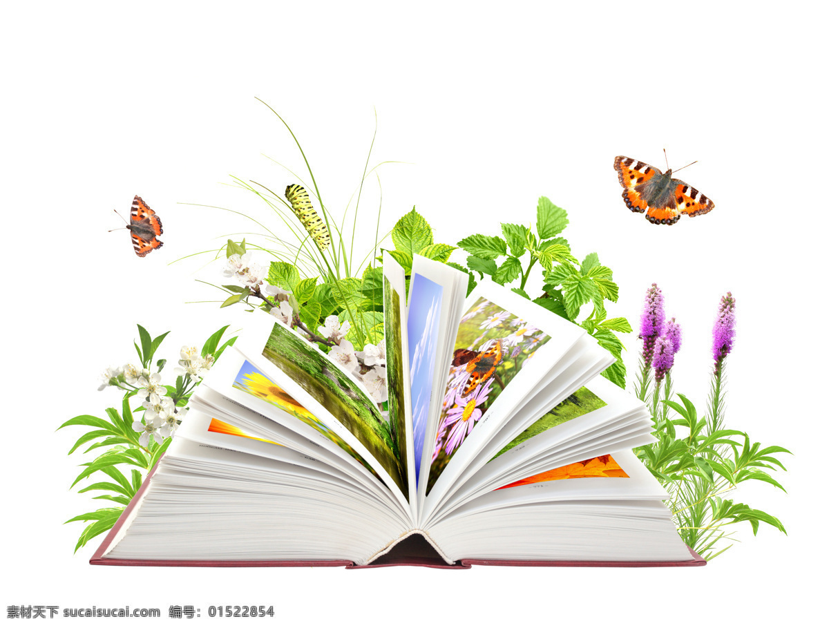创意 自然 植物 书本 高清