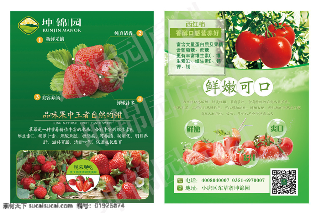 坤 錦 園 綠 包 草莓 西紅柿 宣傳單 草莓單頁 頁 綠色dm單 綠色環(huán)保 健康 有機(jī) 蔬菜 綠色有機(jī)食品 白色