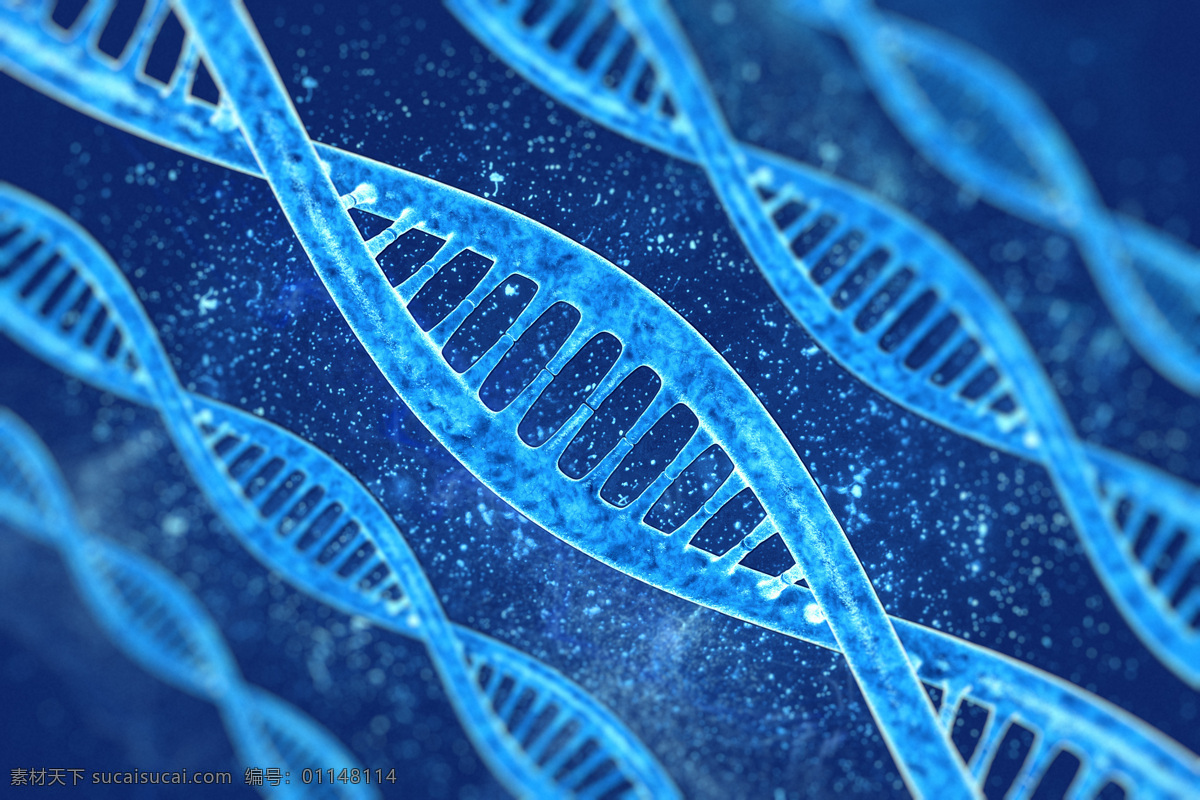 多條 雙螺旋 結(jié)構(gòu)圖 結(jié)構(gòu) 藍色 科技背景 醫(yī)療 dna 醫(yī)療護理 現(xiàn)代科技