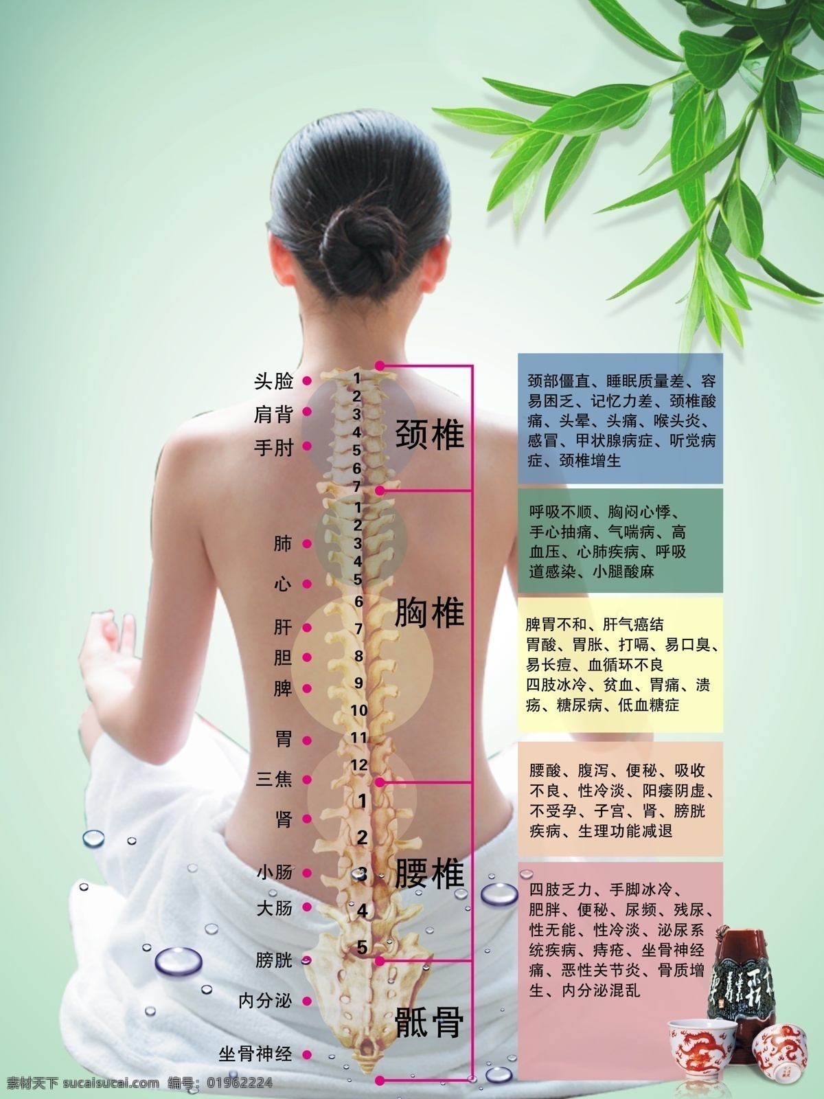 背部穴位圖 穴位素材 穴位模板下載 穴位 養(yǎng)生 女人 中醫(yī) 人體 其他人物 頸椎 腰椎