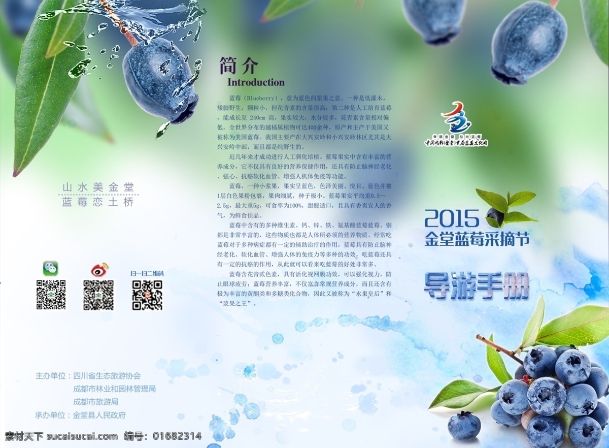 藍(lán)莓 簡(jiǎn)介 三 折頁 三折頁 藍(lán)莓背景 藍(lán)莓簡(jiǎn)介 導(dǎo)游手冊(cè) 分層