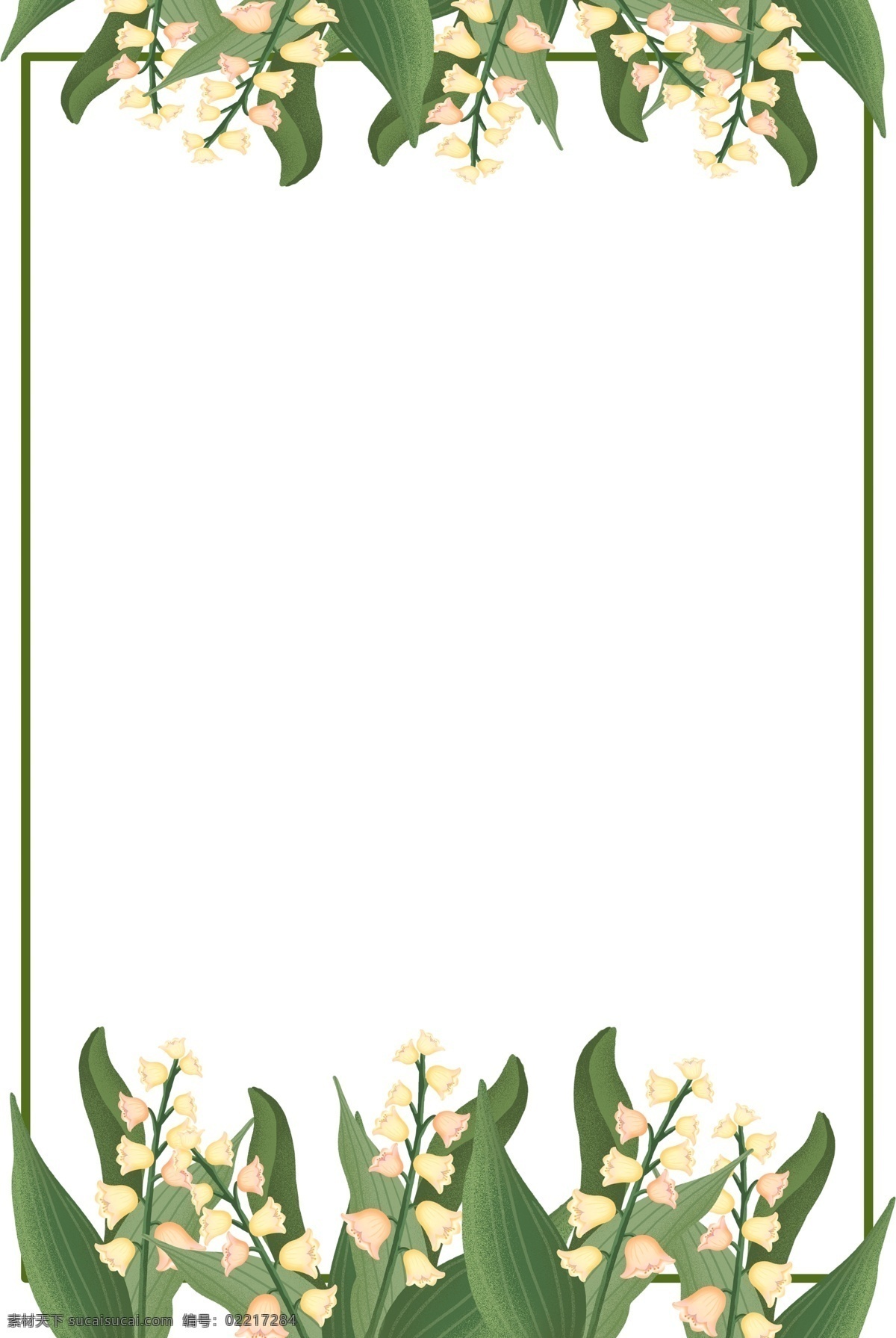 手绘 铃兰 花朵 插画 边框 优雅 自然 草本植物 花朵花蕊 大叶子 清新 淡雅 可爱
