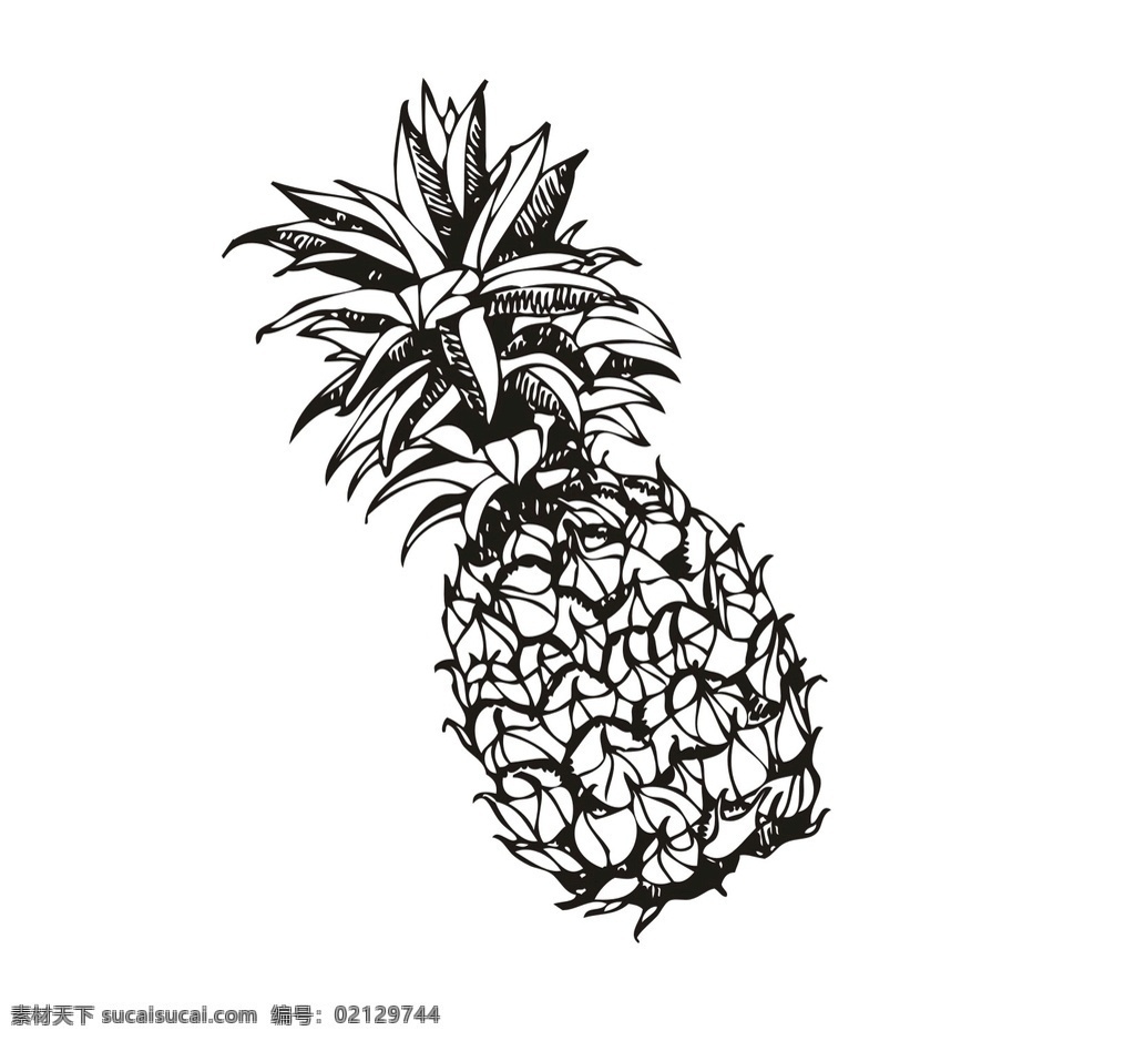 菠萝 简笔画 矢量 速写 标志图标 公共标识标志 pdf