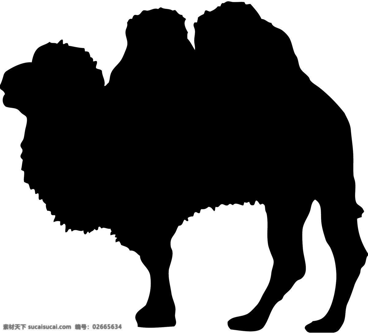 野生动物系列 骆驼剪影 骆驼 矢量图 动物世界 大自然 卡通 剪影 户外 野外 标本 图标 标识 标志 动物园 猛兽 丛林 草原 荒野 旷野 camel 双峰骆驼 沙漠骆驼 矢量 动物 昆虫类 生物世界 野生动物