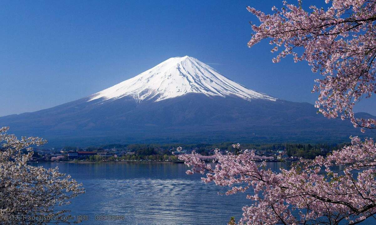 日本 富士山 风景摄影 高清图片 梅花 樱花 浪漫 分层
