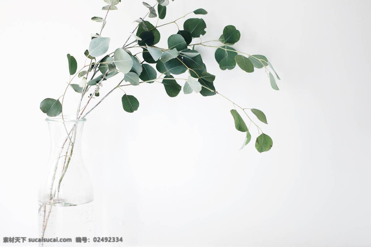 ins风插花 尤加利叶插花 插花 清新插花 小清新色调 生活百科 生活素材