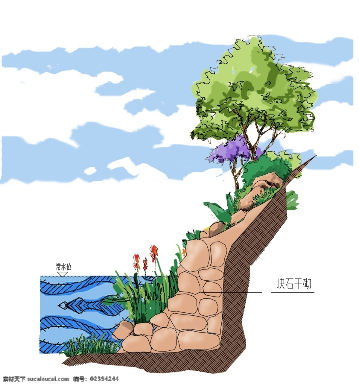 手绘 水体 驳岸 景观 植物 树 环境设计 景观设计