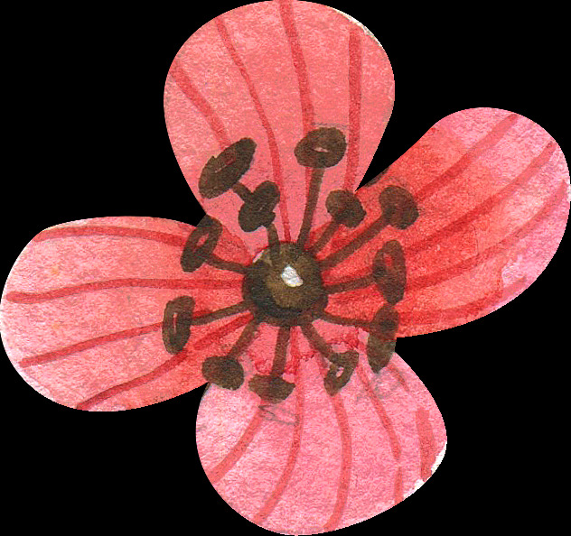 中国 风 新年 喜庆 花纹 图案 中国风 红色 中国结 飘带 灯笼 剪纸 创意装饰 绘画 花朵