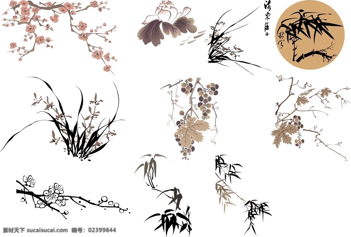 国画 常用 植物 合集 竹子 兰亭 水墨 文化艺术 绘画书法
