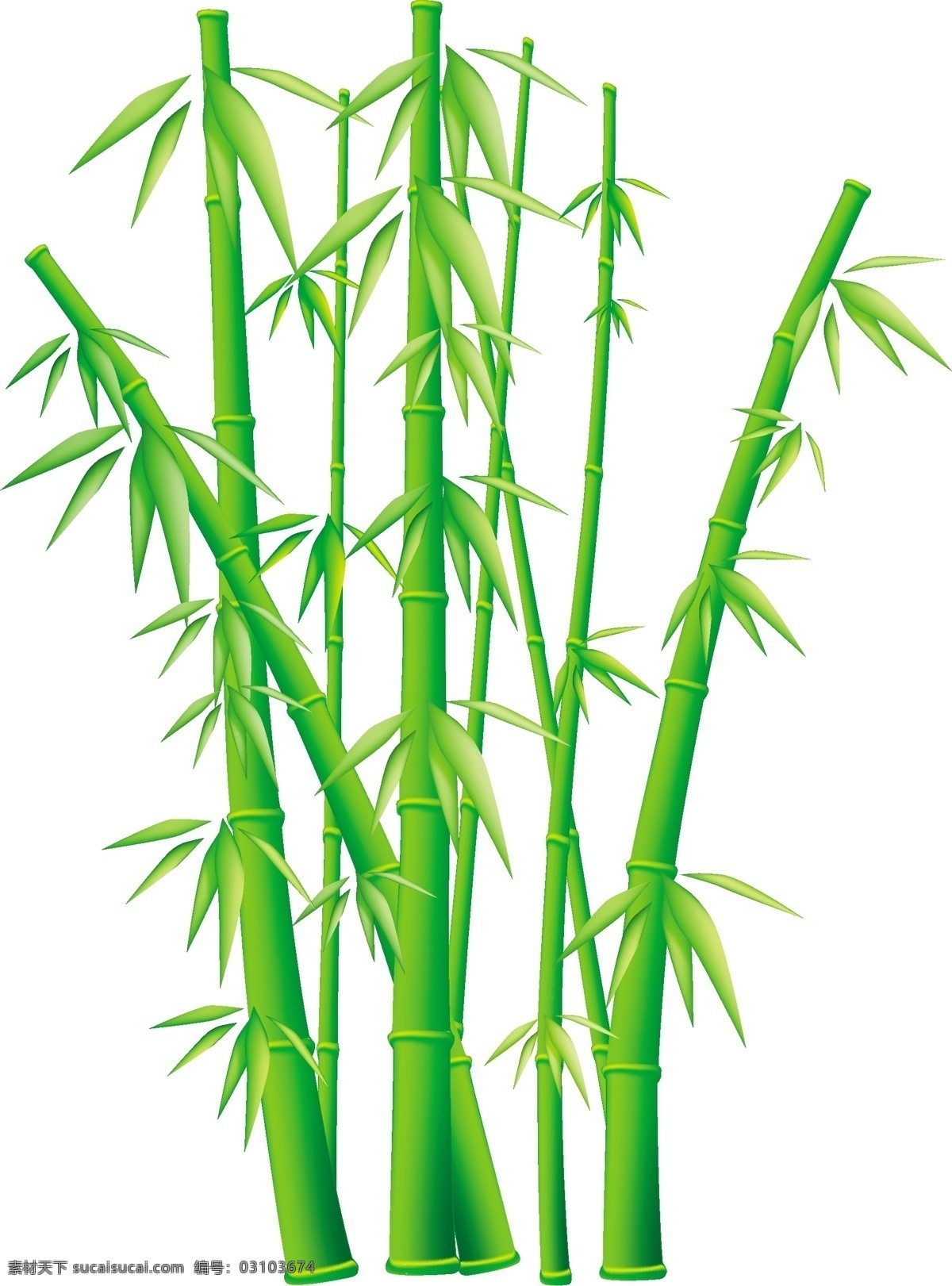 翡翠 綠色 竹子 媒介生物學(xué) 矢量植物竹 bambooemerald 向量 矢量圖 其他矢量圖