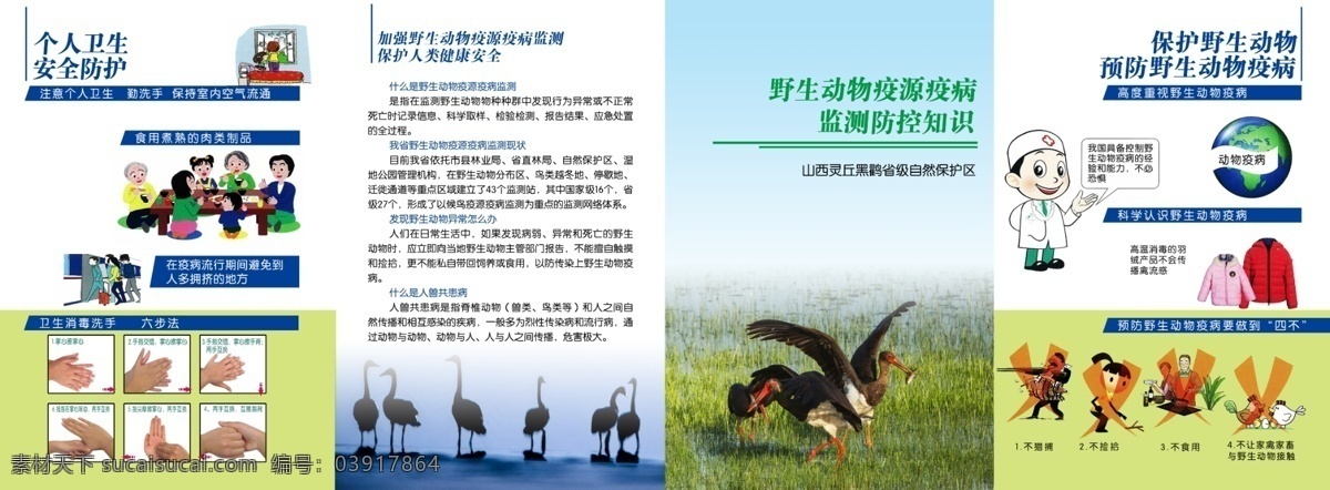 保护 野生动物 预防 疫病 防控 知识 保 ?；ざ?预防疫病 防控知识 个人卫生 勤洗手 消毒洗手 黑鹳 dm宣传单