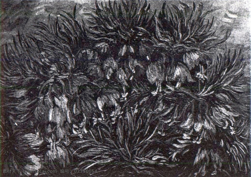 黑白 灌木丛 油画 静物 装饰画 芯 无 框 静物油画 挂画 简约 无框画 风景