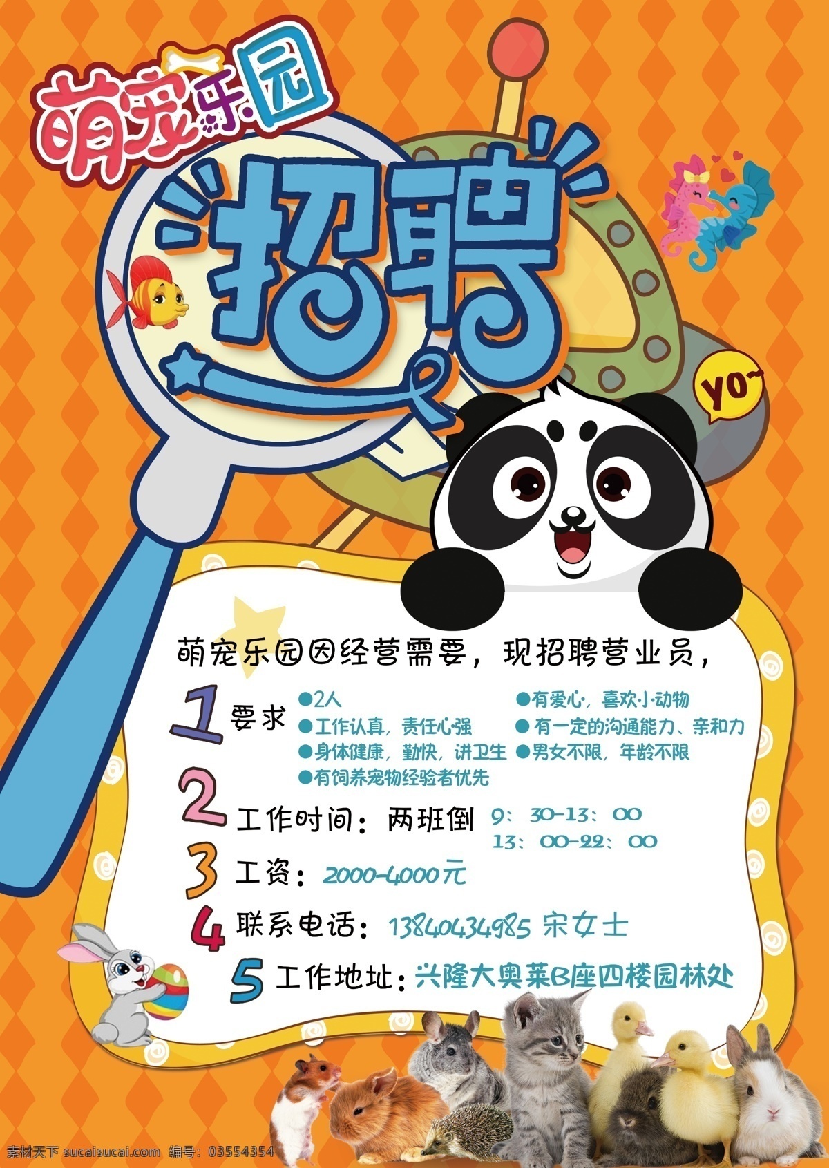 卡通招聘海报 招聘 卡通动物 宠物 卡通背景 动物 卡通熊猫 宠物乐园 萌宠乐园 dm宣传单