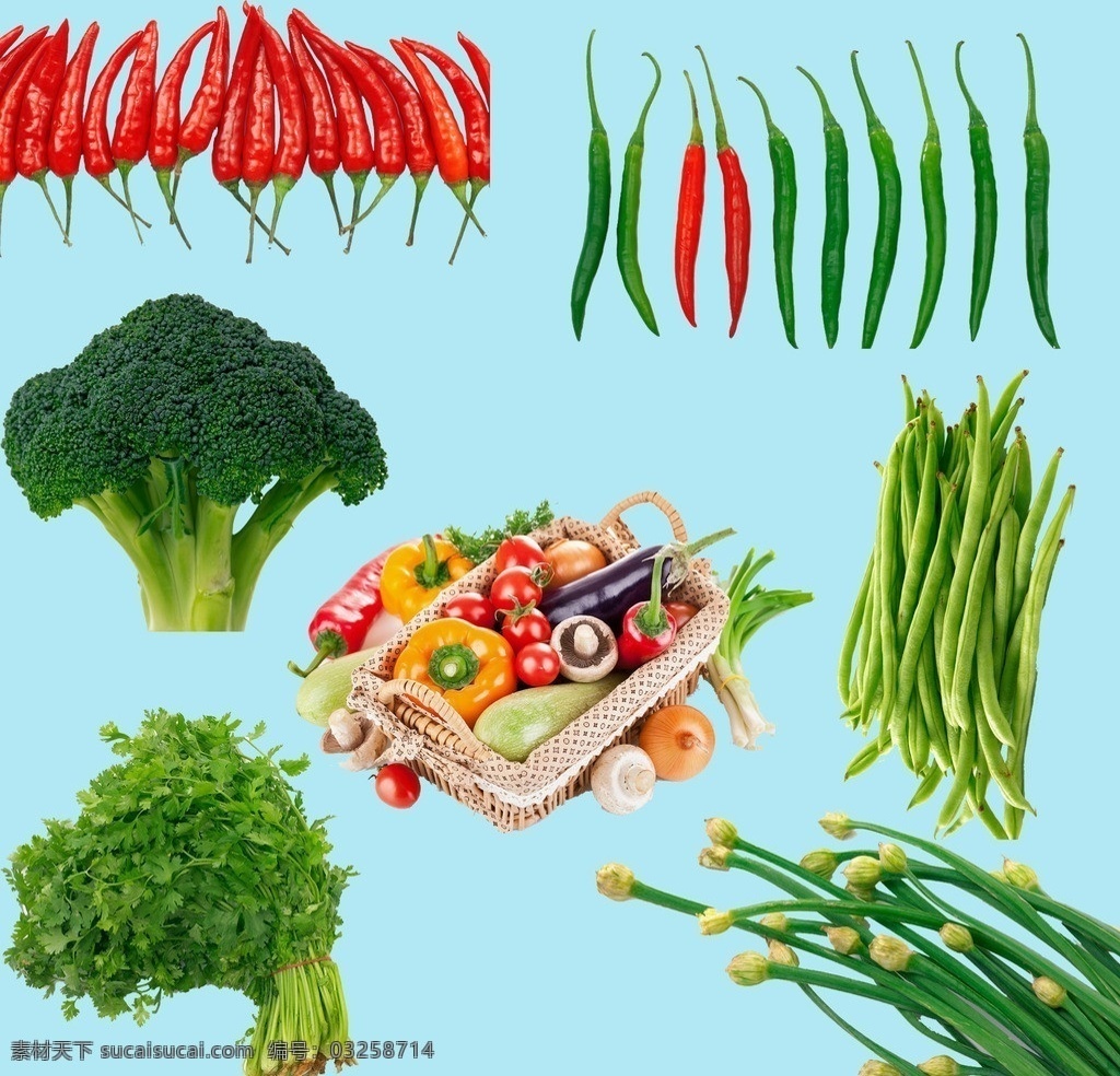 蔬菜素材 辣椒 西蘭花 蔬菜推 芹菜 豇豆 蒜苗 蔬菜 新鮮蔬菜素材 廚房必備 分層 源文件