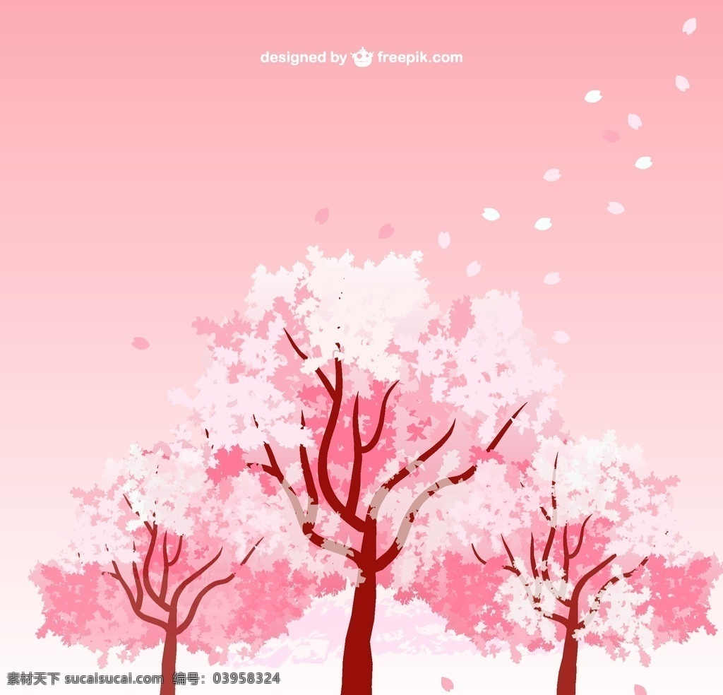 樱花树 背景 自然 春天 樱花 开花 公园 东方 樱桃 性质 绽放 植物学 图标 高清 源文件