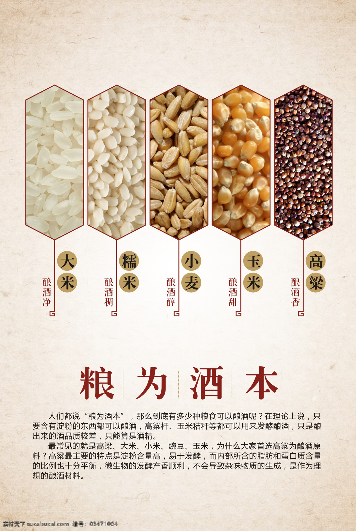 白酒 五糧釀造 文化掛圖 中國白酒 白酒文化 釀酒糧食 高粱 傳統(tǒng)文化 文化藝術(shù)