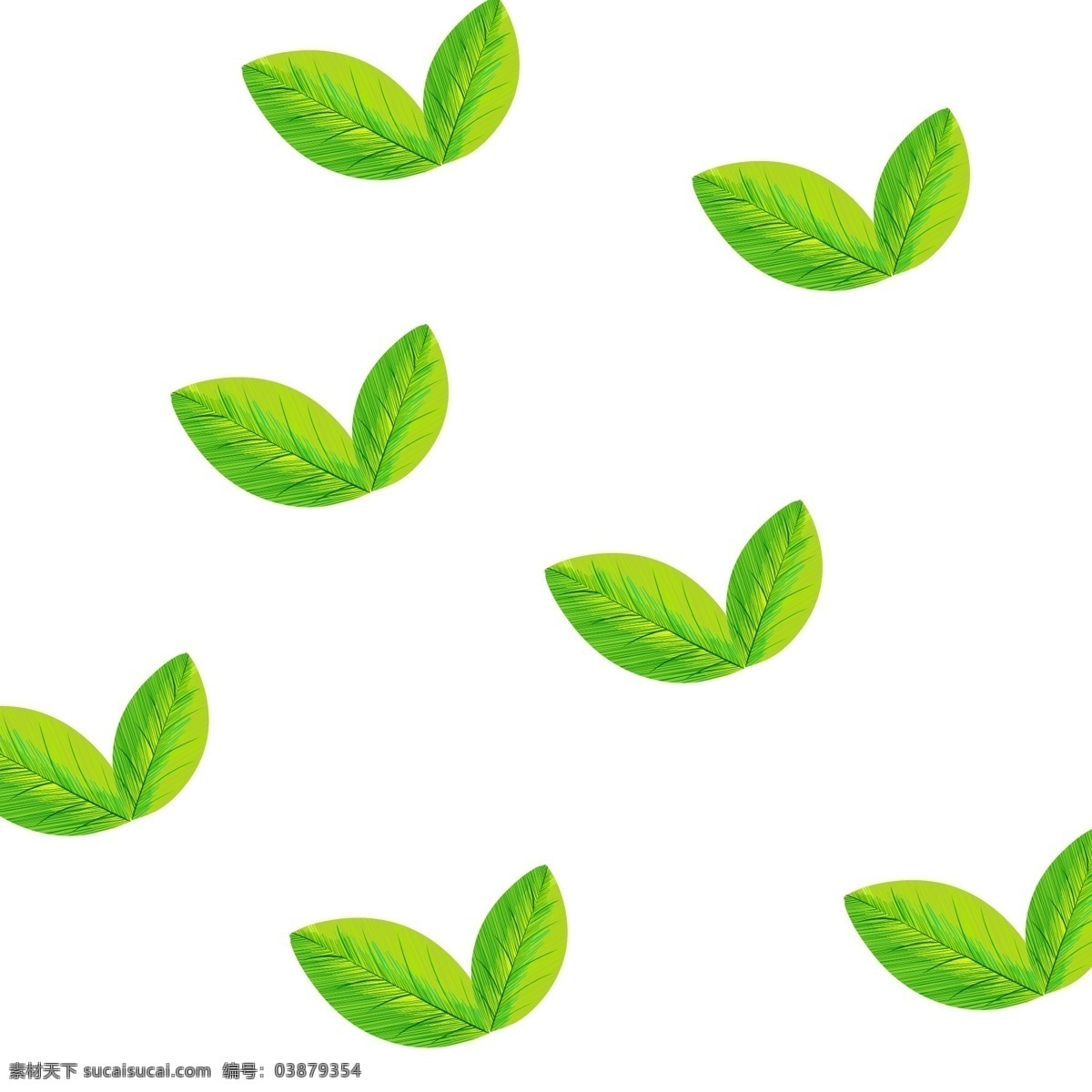 绿色植物 叶子 手绘 茶叶 透明 底 免 抠 绿色 植物 叶片 卫矛叶子 女贞叶子 小清新 水彩风 透明底 免抠 生机勃勃 春暖花开