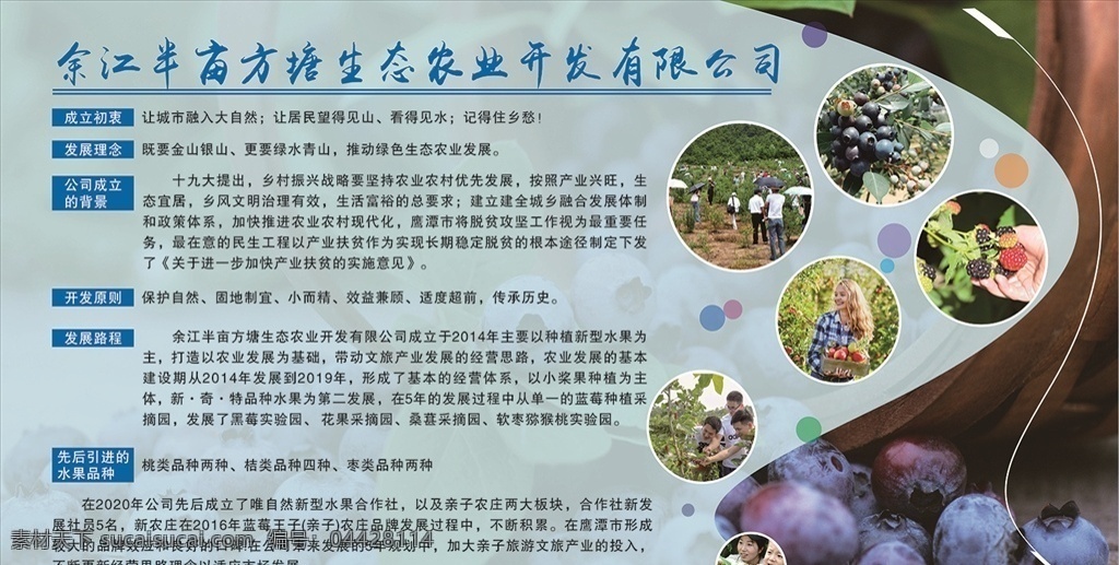 藍(lán)莓簡介 藍(lán)莓 公司簡介 公司背景 展板設(shè)計(jì) 藍(lán)莓簡價(jià) 野生藍(lán)莓 藍(lán)莓x展板 藍(lán)莓海報(bào) 水果藍(lán)莓 有機(jī)藍(lán)莓 藍(lán)莓廣告 藍(lán)莓宣傳 藍(lán)莓種植 藍(lán)莓展架 展板模板