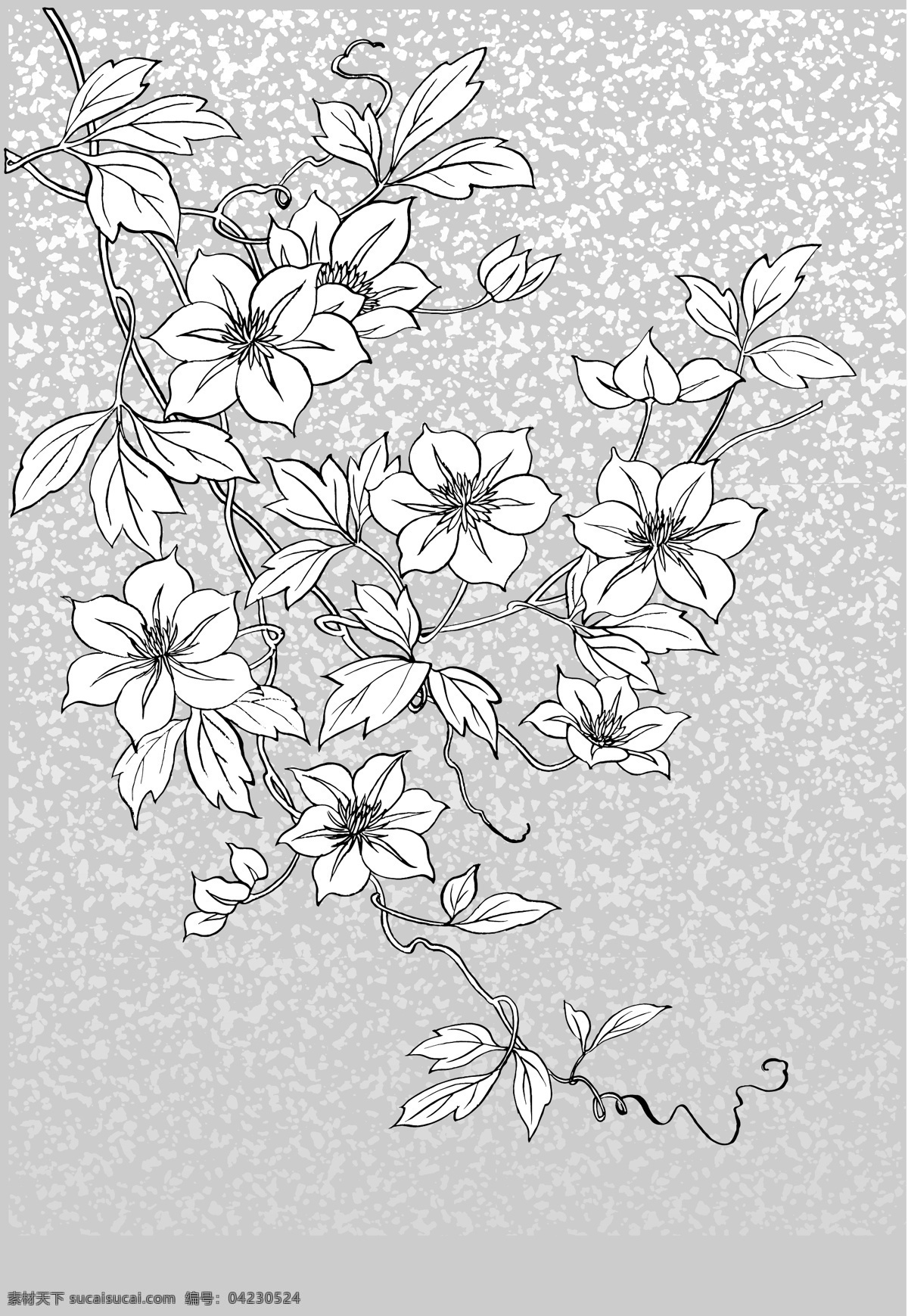 日本 线描 植物 花卉 矢量 系列 包括 菊花 雪 南天 红叶 流水 云朵 各种 背景 其他矢量 矢量素材 矢量图库