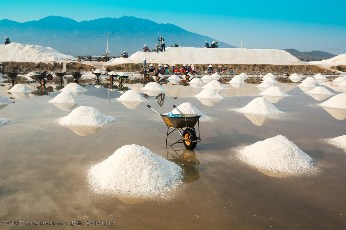 皎洁 盐 堆 盐滩 推车 盐堆 农民 越南 收盐 其他类别 生活百科