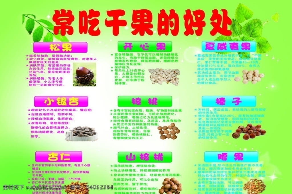干果廣告 干果 干果的好處 松果 小銀杏 杏仁 開心果 核桃 山核桃 夏威夷果 榛子 腰果 干貨 矢量 矢量圖 矢量素材 餐飲美食 生活百科