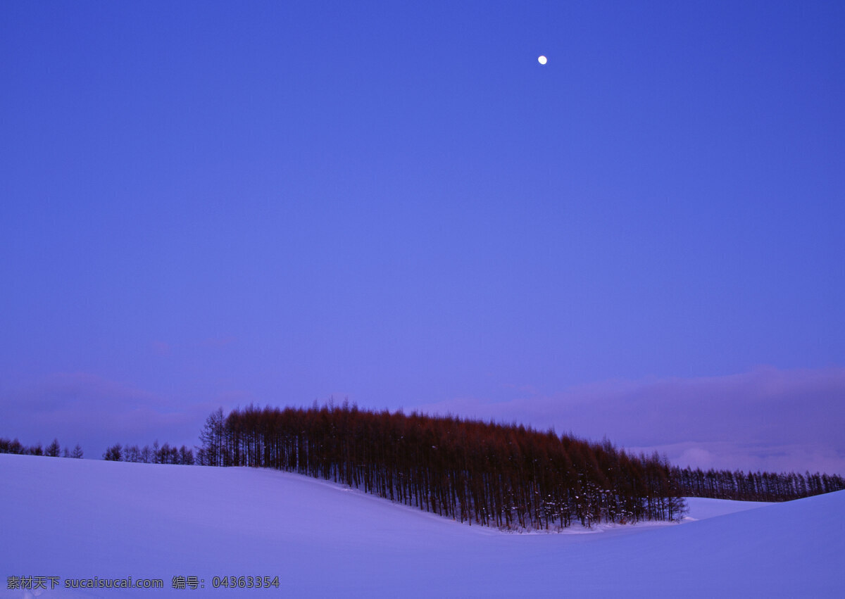 冬天景色摄影 四季风景 美丽风景 美景 自然景色 树木 一望无垠 天空 冬天雪景 雪地 积雪 自然风景 自然景观 蓝色