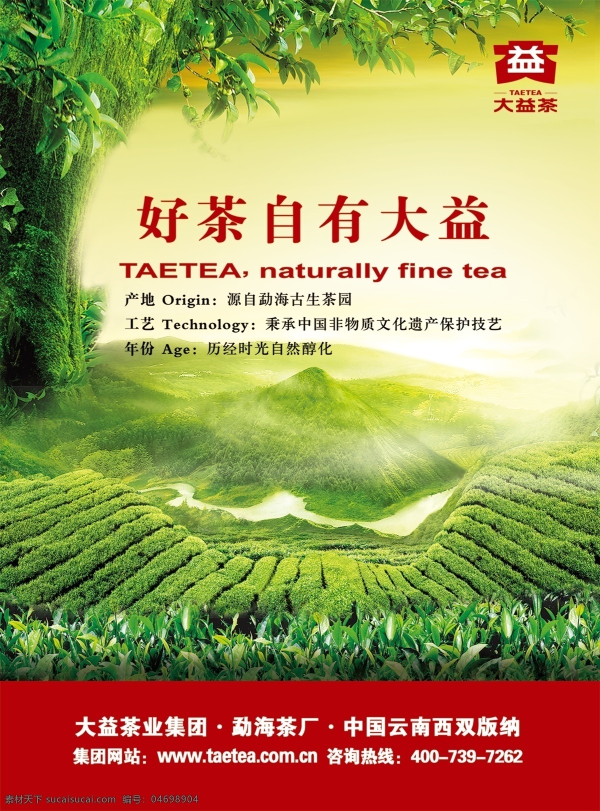 勐海古生茶園 茶園 古生茶園 茶基地 茶葉 大益茶 茶葉廣告 茶葉海報 勐海茶廠 好茶自有大益 古茶樹 大樹茶 野生茶