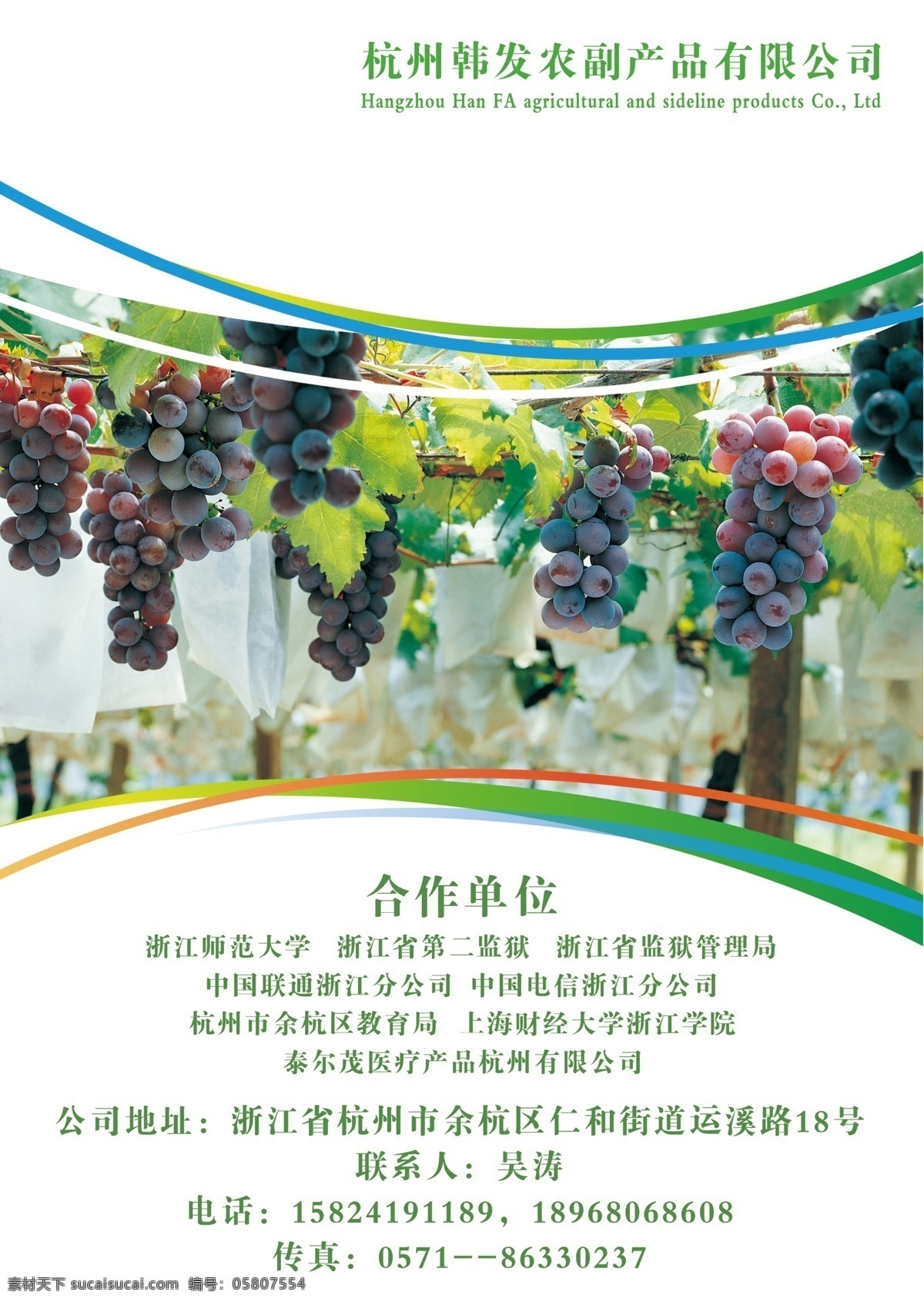 農(nóng)副產(chǎn)品 畫冊 封面 封底 內(nèi)頁 簡約 清新 農(nóng)副 農(nóng)業(yè) 簡約風(fēng)格
