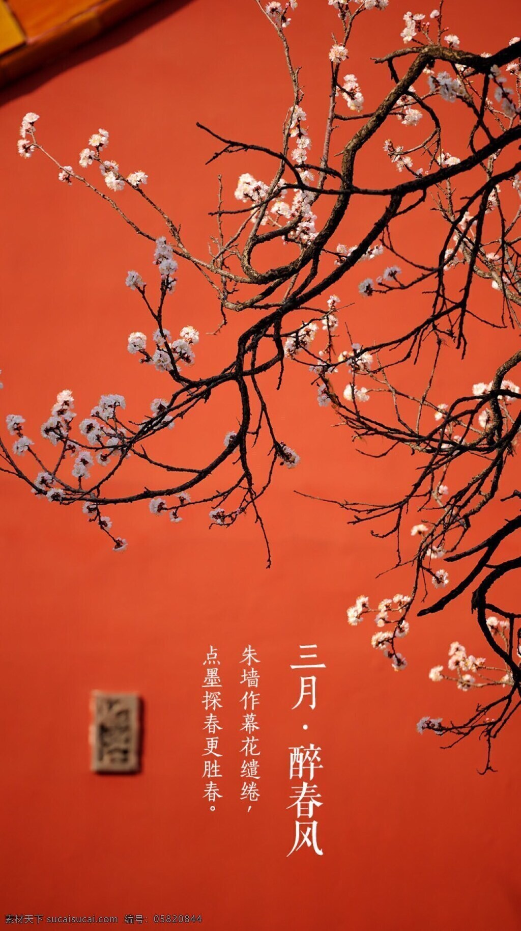 三月 花 宮殿 皇宮 紅墻