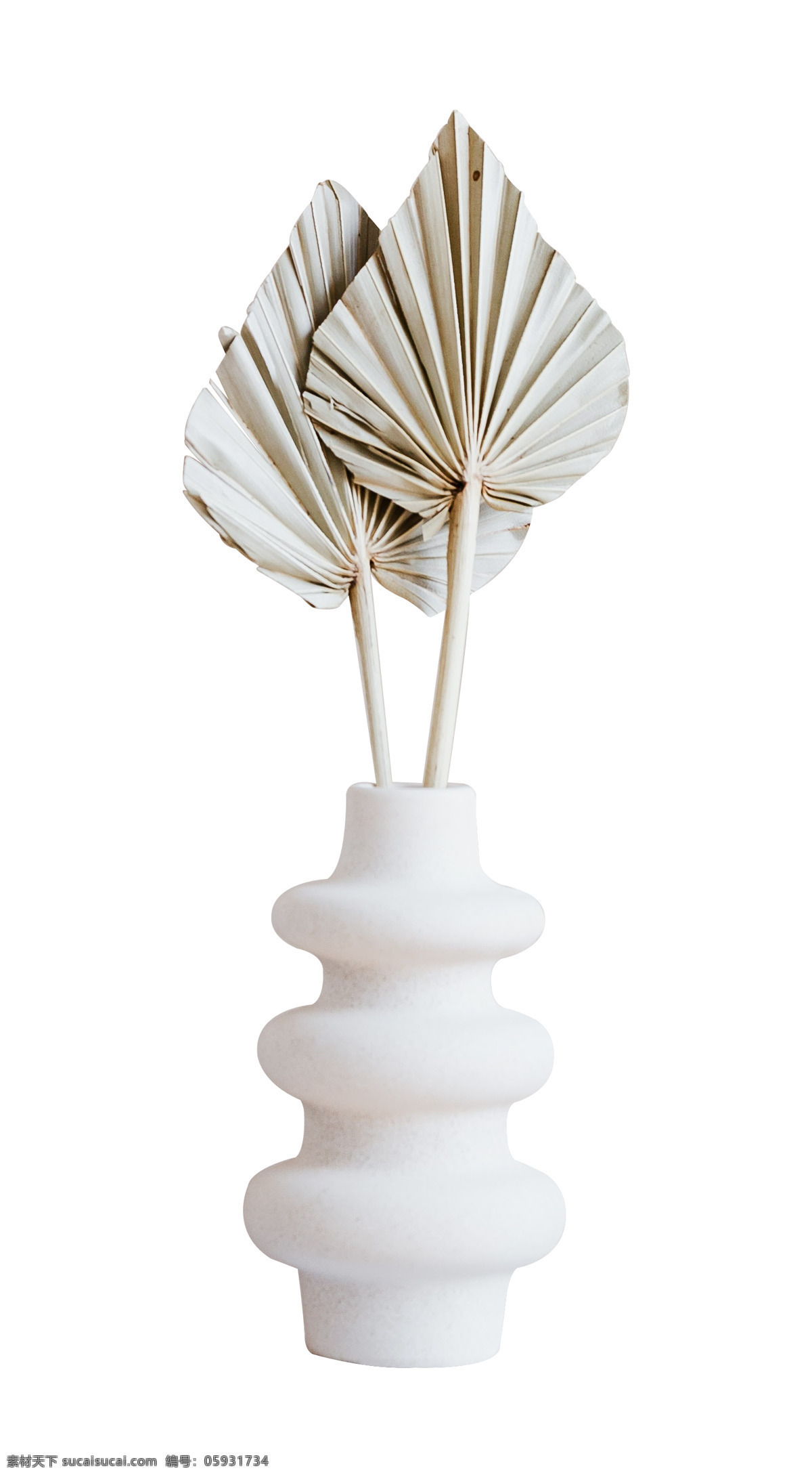 花瓶 免 扣 素材圖片 室內(nèi)裝飾品 擺設(shè)品 精品 室內(nèi)軟裝配搭 北歐家居 北歐軟裝素材 免摳素材 清新 家居裝飾素材 組件 擺件 北歐風(fēng) 創(chuàng)意家居 免扣素材 png格式 免摳 家居設(shè)計(jì) 生物世界 花草