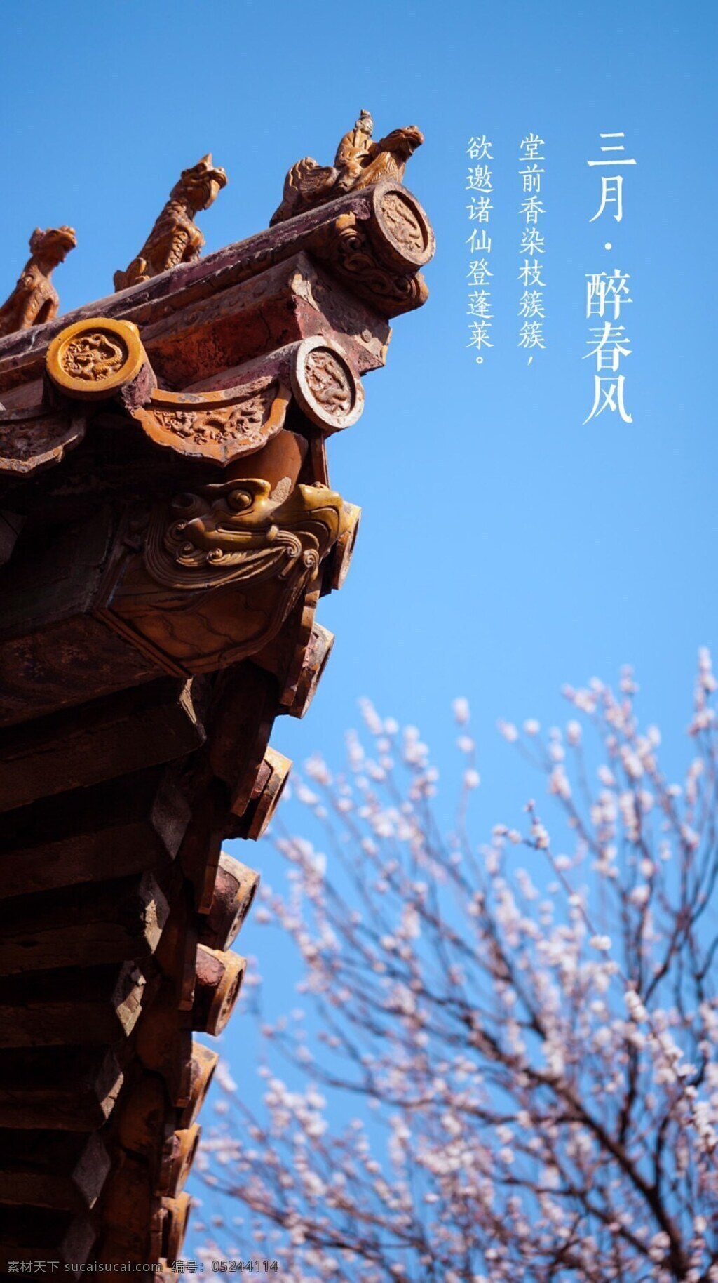 三月 花 宮殿 皇宮 紅墻