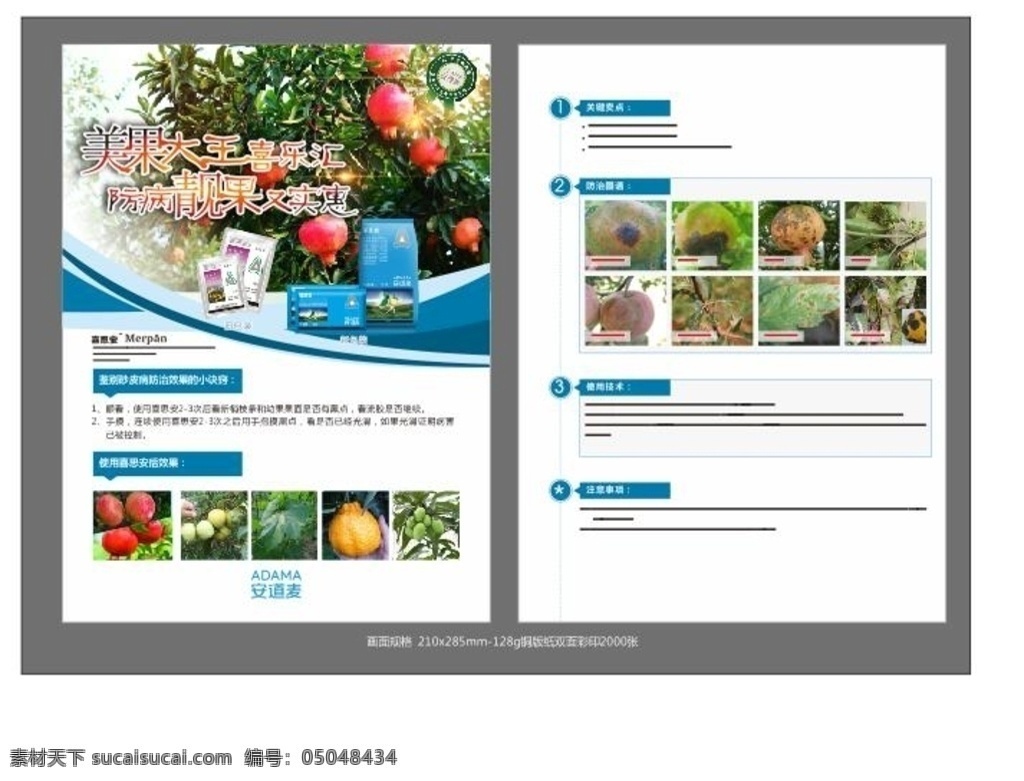 石榴 果 农药 广告 农业 宣传 产品宣传 dm宣传单