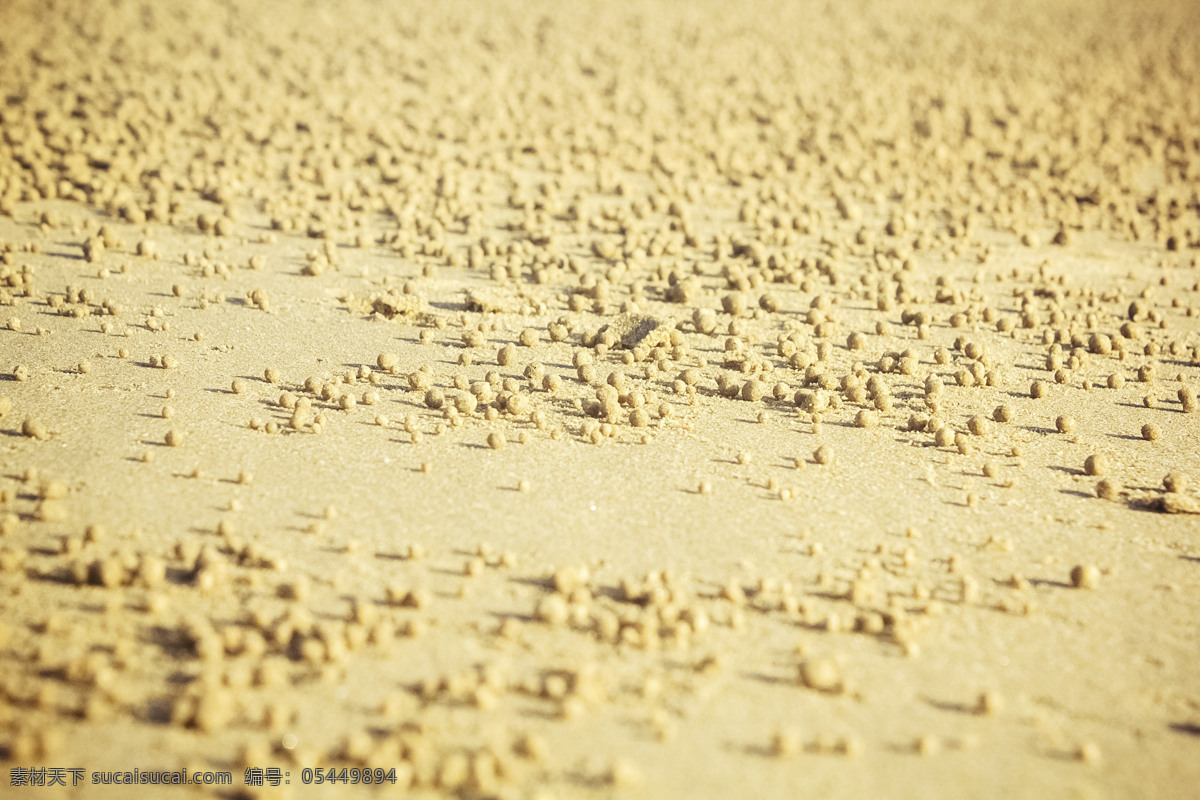 沙漠 球形 黄色 沙子 特写 明暗 奇观 千库原创
