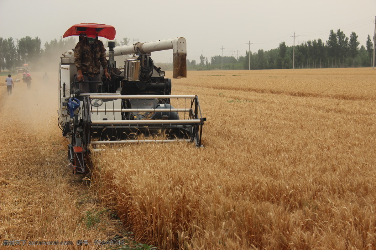 小麦 联合收割机 小麦收割机 收割机 麦收 收麦 收割 过麦 农民 麦田 现代科技 农业生产