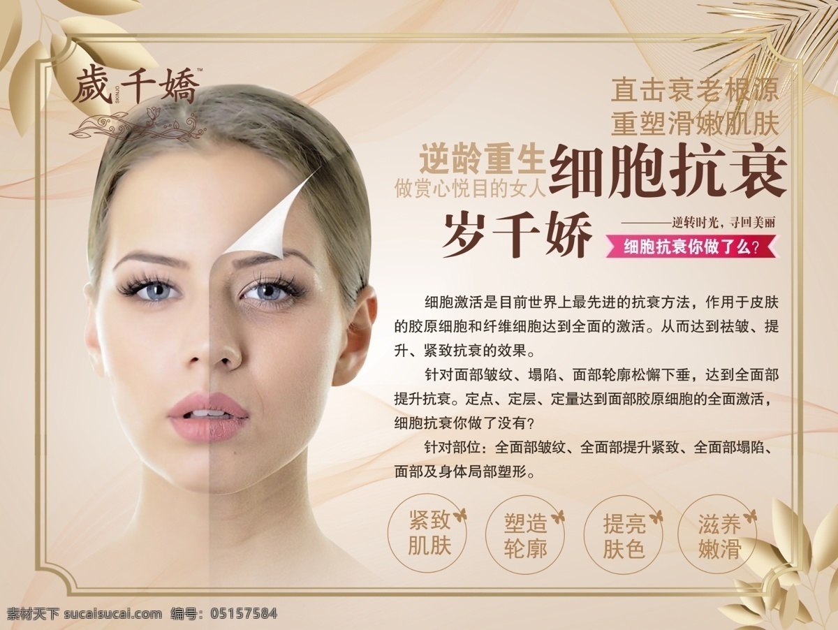 細(xì)胞抗衰圖片 細(xì)胞抗衰 緊致肌膚 抗皺 抗衰 千歲嬌