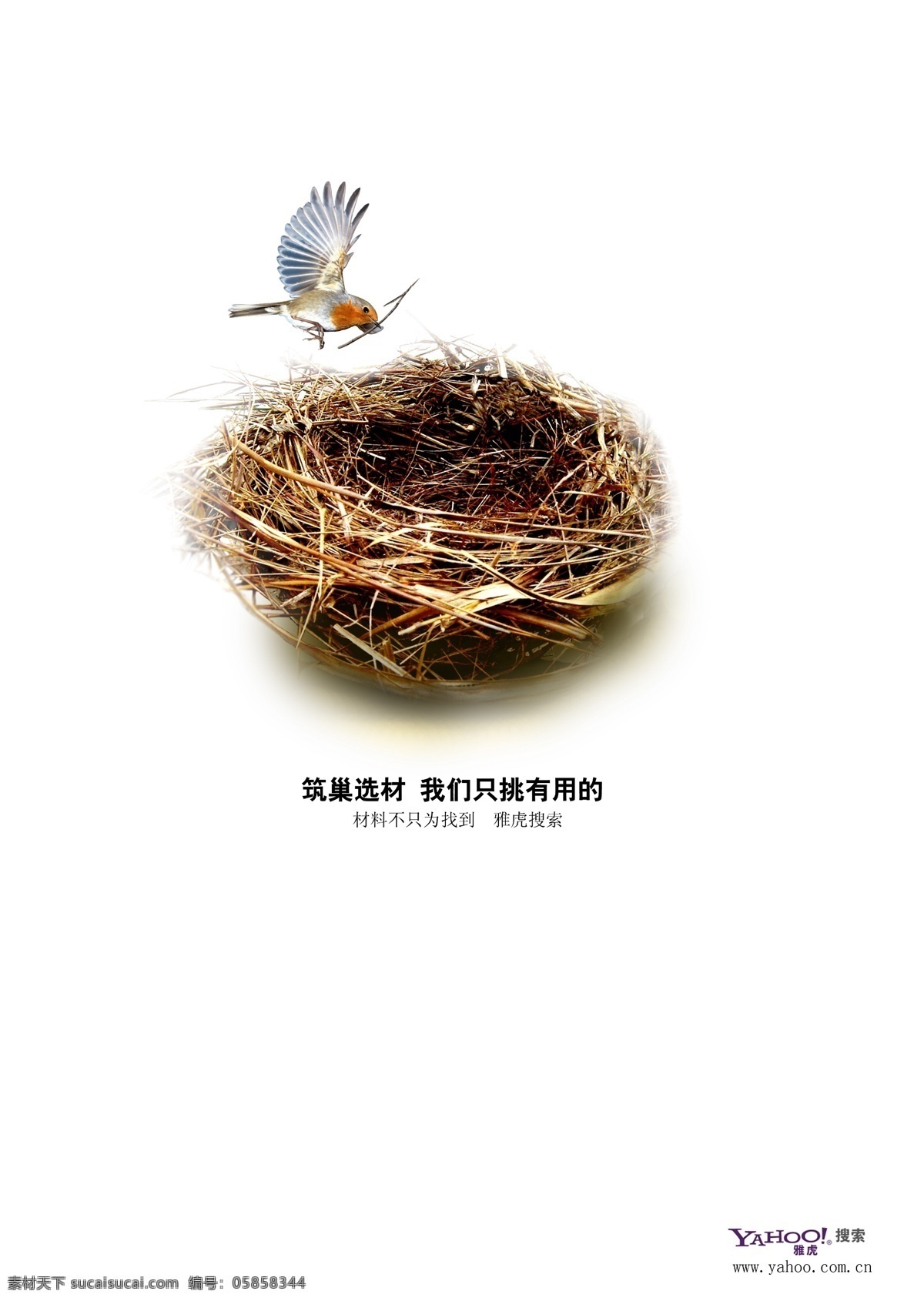 雅虎 鳥巢 鳥窩 小鳥 廣告設計模板 源文件