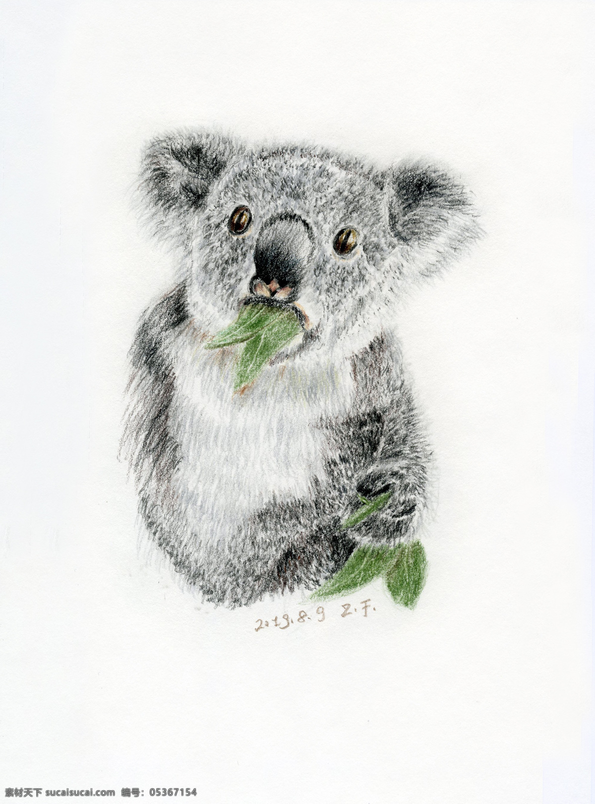 彩铅手绘 考拉 彩铅 手绘 树熊 动物 原创 绘图 文化艺术 绘画书法