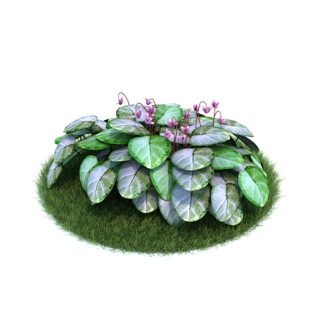 茂盛 植物 綠色 模型 3d模型素材 動(dòng)植物模型