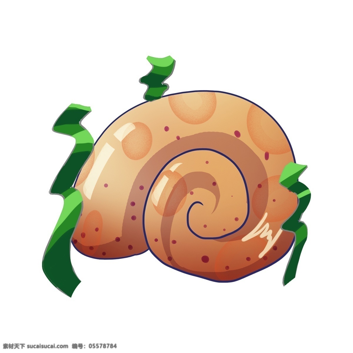 海螺贝壳蜗牛 绿色海草 海洋生物 棕色贝壳